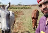 gregorich confiesa que los caballos son una de sus grandes pasiones. Fotos: cortesía del entrevistado.