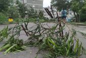 Afortunadamente la tormenta tropical Laura no causó estragos en La Habana.