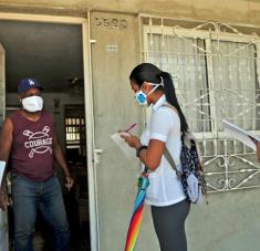 inculados también en esa imprescindible tarea productiva están hoy 310 universitarios en 18 brigadas voluntarias desplegadas en todos los municipios de la localidad. Foto: Yaymara Villaverde Marcé.