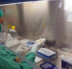 Dos de los cuatro candidatos vacunales cubanos contra la Covid-19 continuarán sus estudios fase III en humanos el venidero mes de marzo. Foto: Archivo/RHC.