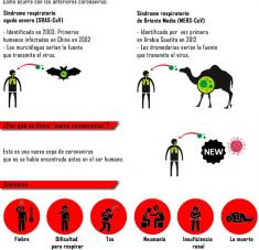 Qué debes saber sobre el CORONAVIRUS (Infografía)