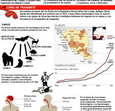 Balance mortal del Ébola superó los 2.000 muertos (Infografía)