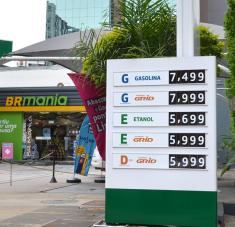 Foto: Carol Maluf / Shutterstock