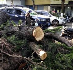 Las autoridades de la ciudad de Nantong continúan con las labores de rescate, desescombro y restauración del suministro eléctrico. Foto: Xinhua