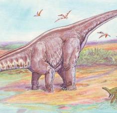 Fue bautizado como 'Aratasaurus museunacionali' en honor al Museo Nacional, que sufrió un voraz incendio en 2018. Imagen ilustrativa/ru.wikipedia / ДиБгд / dominio público