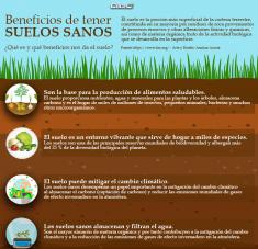 Infografia Día Internacional de la Conservación del Suelo Beneficios