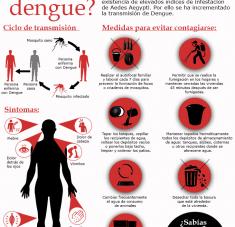 Infografía Dengue Cubasi