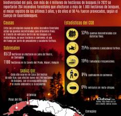 Infografía incendios forestales cuba