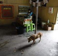 La Covid-19 es uno de los factores que impulsan las proyecciones de caída económica en América Latina. Foto: EFE