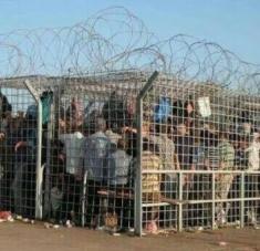 La ocupación israelí no ha aminorado su intensidad en el medio de la pandemia de la Covid-19. Foto: Twitter: Palestina Librea