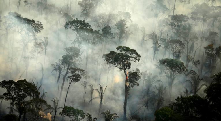 Investigadores hallaron evidencia de que la Amazonía brasileña "ahora es un emisor neto" del gas que incide en el calentamiento global. Foto: Bruno Kelly / Reuters 