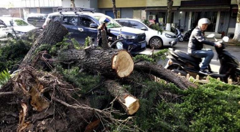 Las autoridades de la ciudad de Nantong continúan con las labores de rescate, desescombro y restauración del suministro eléctrico. Foto: Xinhua