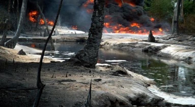 Las refinerías ubicadas en el delta del río Níger no cumplen con las condiciones de bioseguridad y explotan ilegalmente la zona y a los trabajadores. Foto: medioambiente.net