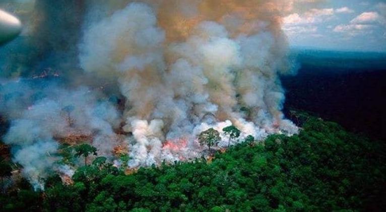 En lo que va de año, se detectaron en el humedal de Pantanal un total de 4.203 focos de incendios. Foto: Pulso