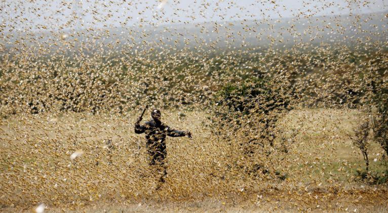 Las organizaciones internacionales alertan sobre una situación humanitaria "excepcionalmente compleja" y "sin precedentes" en la región, que puede llevar a unas consecuencias muy graves para su población. Foto: Reuters.