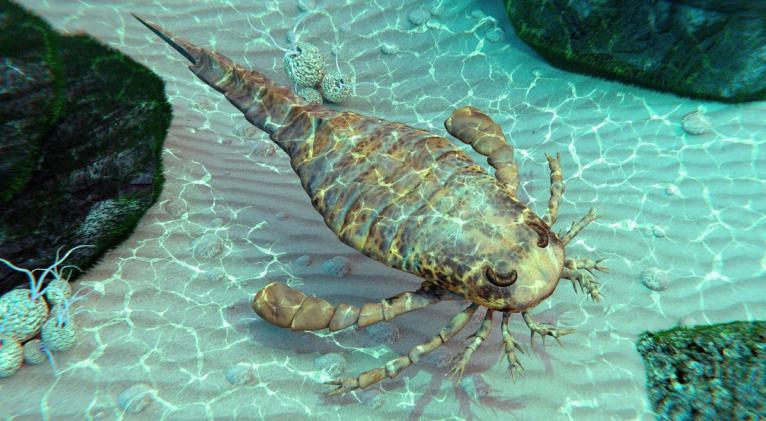 Los investigadores determinaron que la especie vivió hace 252 millones de años y fue el depredador acuático más grande del área por aquel entonces. Foto: Aunt Spray / Legion-Media