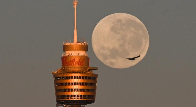 Foto: Gettyimages.ru