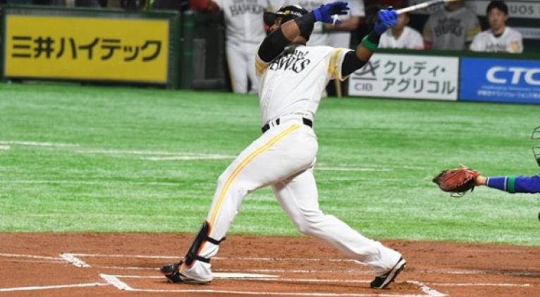Gracial. Foto: Yuhki Ohboshi