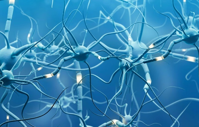 neuronas enlazadas neuronas enlazadas