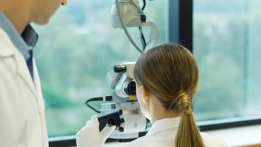 especialistas especialistas