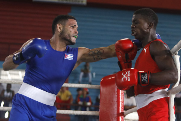La conquista de cinco fajas selló el desempeño de Cuba en el clasificatorio para el torneo de boxeo. Clasificatorio para el torneo de boxeo de los Juegos Centroamericanos.