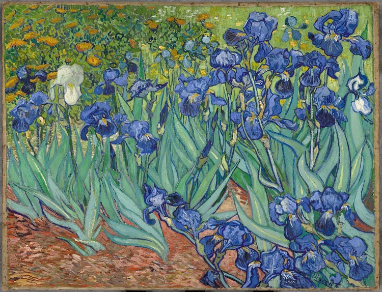 Lirios de Vincent Van Gogh