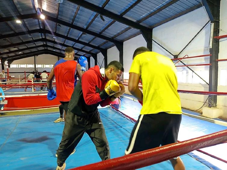 Siete boxeadores cubanos entrenan.