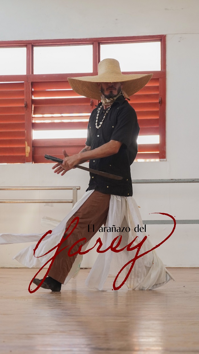 Obra de Perro Callejero