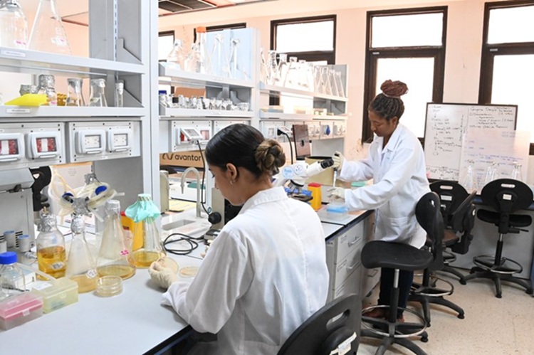 elaboración del fármaco Jusvinza elaboración del fármaco Jusvinza