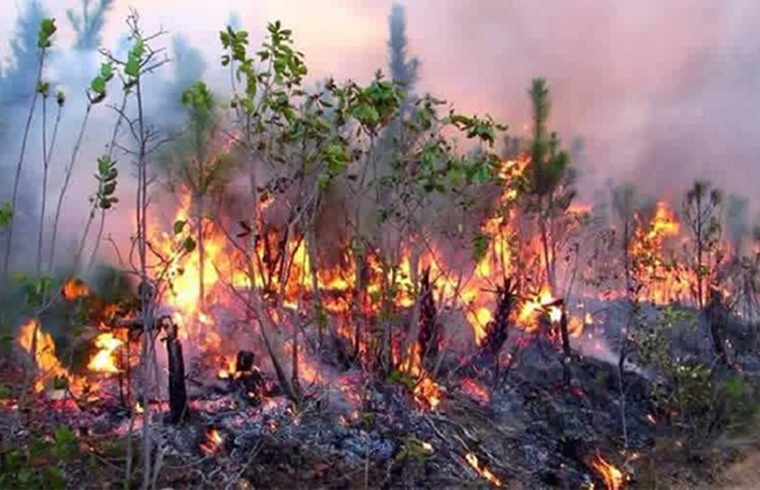 Incendio forestal de muy grandes proporciones en Pinar del Río controlados