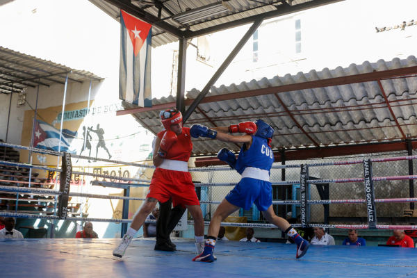 boxeo femenino