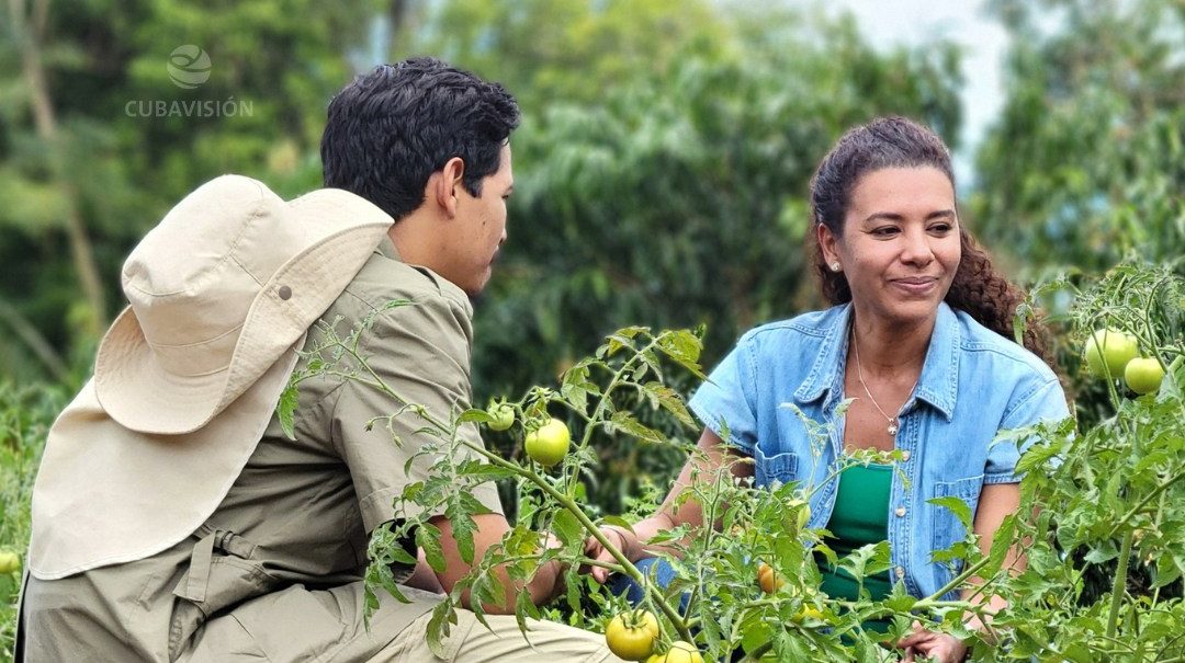 Telenovela cubana Ojo de agua llega a su fin.