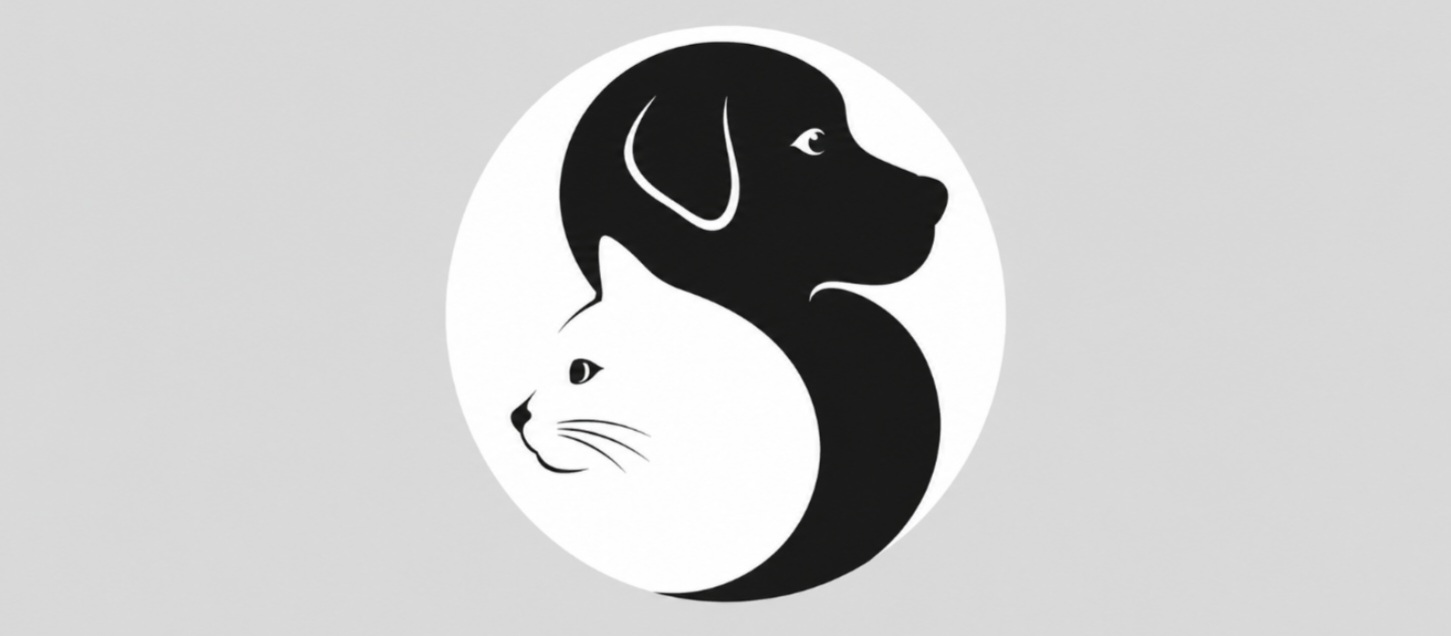 Perro o gato