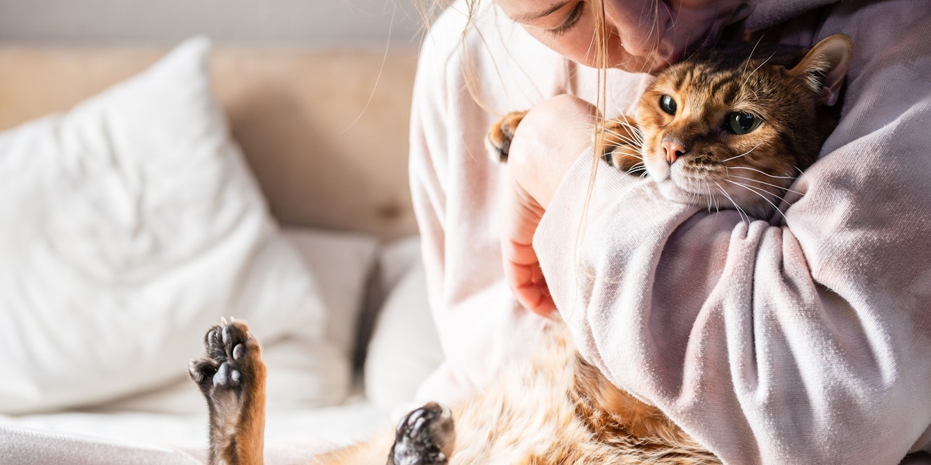Persona abraza a su gato Persona abraza a su gato