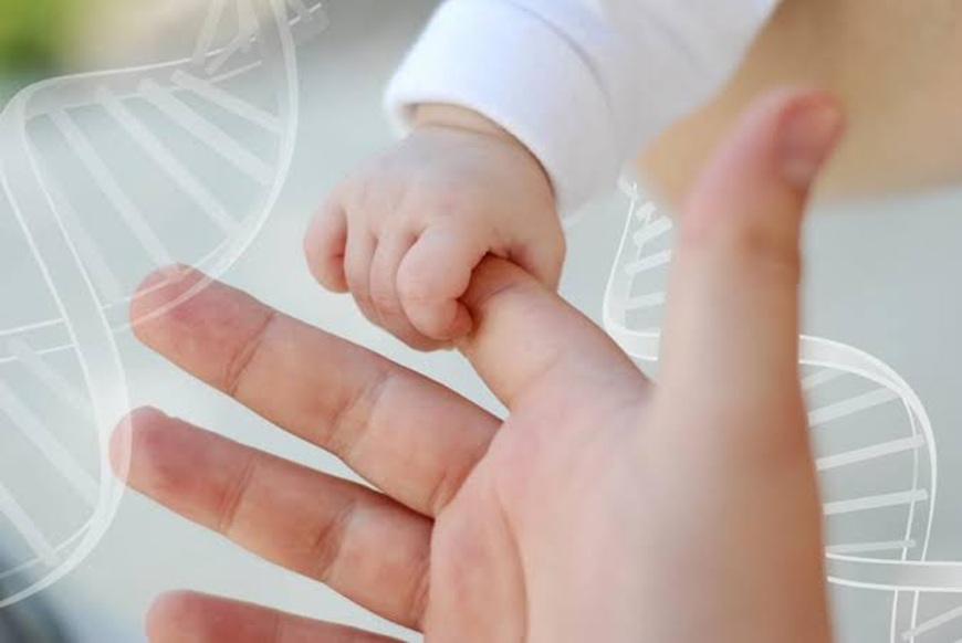 Imagen ilustrativa para ilustrar prueba de paternidad