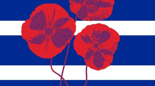 Urgent Letter about Cuba to Ms Kaja Kallas, EU high representative