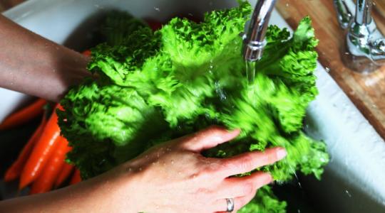 higiene de los alimentos