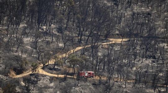 Incendios en Europa debido a las altas temperaturas
