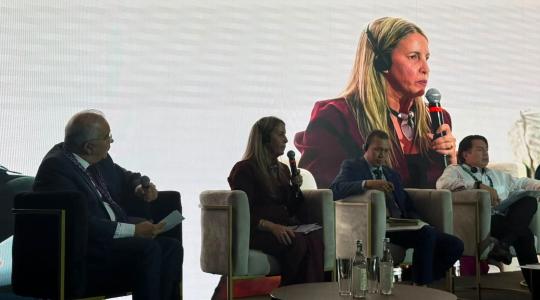 Denunció Cuba bloqueo en Conferencia Mundial de Alfabetización