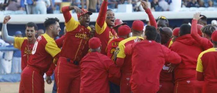 Cocodrilos de Matanzas