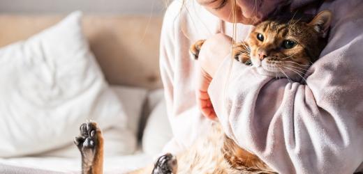 Persona abraza a su gato
